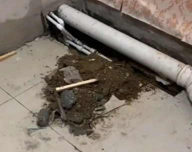 株洲卫生间漏水检测哪家好